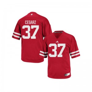 Ethan Cesarz Wisconsin Badgers Jerseys Mens Red Authentic