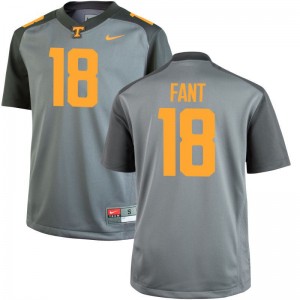 Mens Game Tennessee Jerseys Princeton Fant - Gray